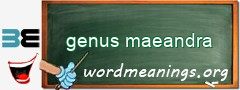 WordMeaning blackboard for genus maeandra